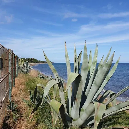 Lägenhet Chez Celine & Rudi Moriani Plage
