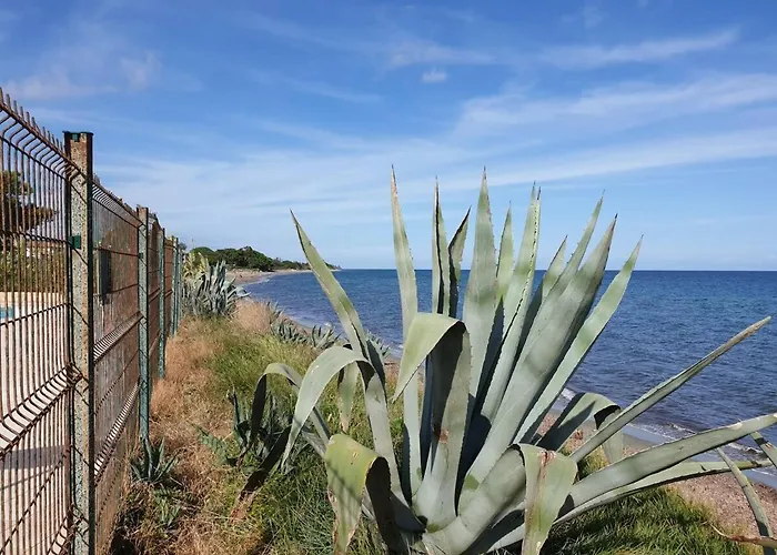 Apartmán Chez Celine & Rudi Moriani Plage